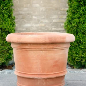 Kruka Lucca, Bergs Potter